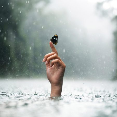 Το ένστικτό μας πάντα έχει δίκιο