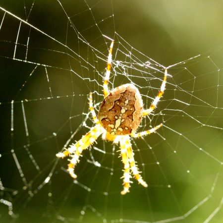 Ατρόμητοι μέχρι ο φόβος να μας χτυπήσει την πόρτα