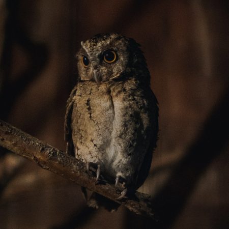 10 πράγματα που θα λέγαμε στον εικοσάχρονο εαυτό μας