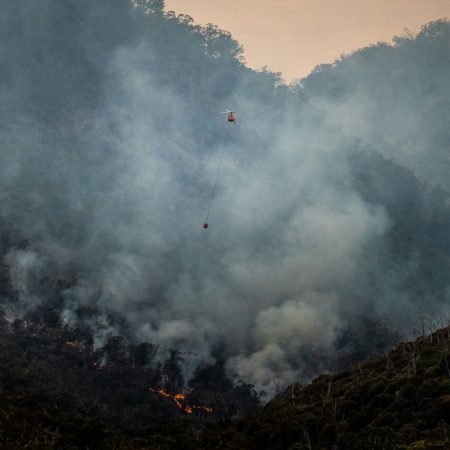 Κεφαλονιά: Αθωώθηκε 43χρονος που είχε ομολογήσει έξι εμπρhsμούς