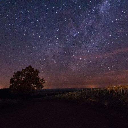 Αισθηματικές προβλέψεις 26/9