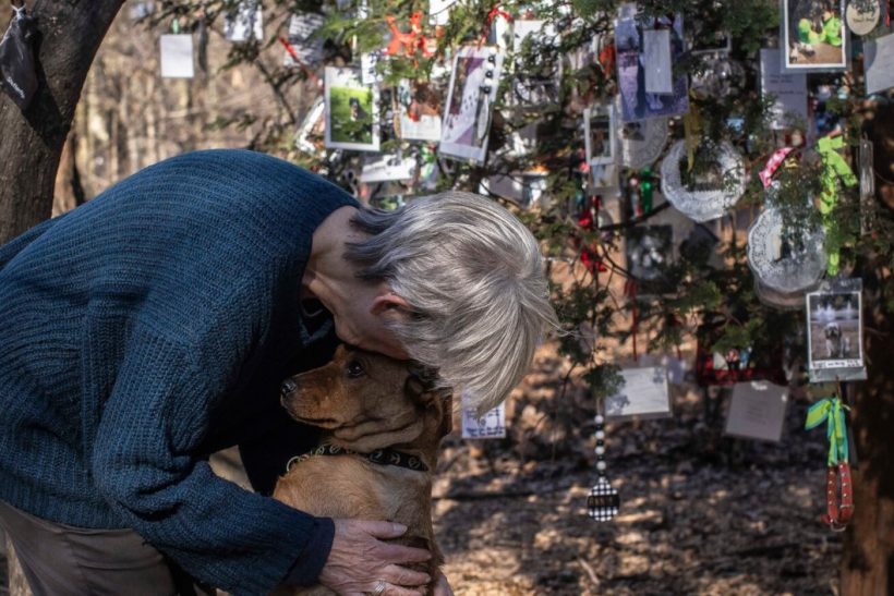 Στο Central Park υπάρχει ένα χριστουγεννιάτικο δέντρο για τα κατοικίδια που μας λείπουν