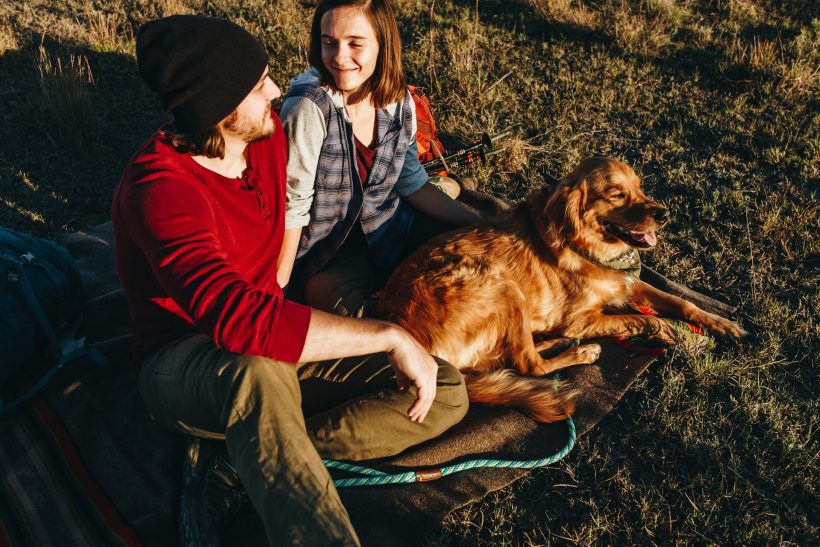 Eίναι τα σκυλιά των millennials τα τυχερότερα πλάσματα στον κόσμο;